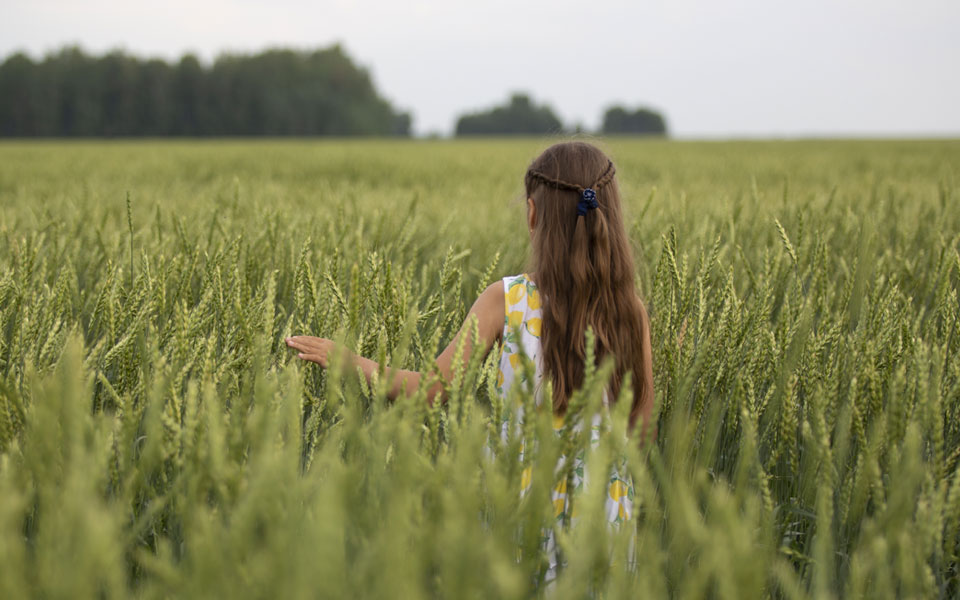 Foto de una niña en un campo de trigo verde