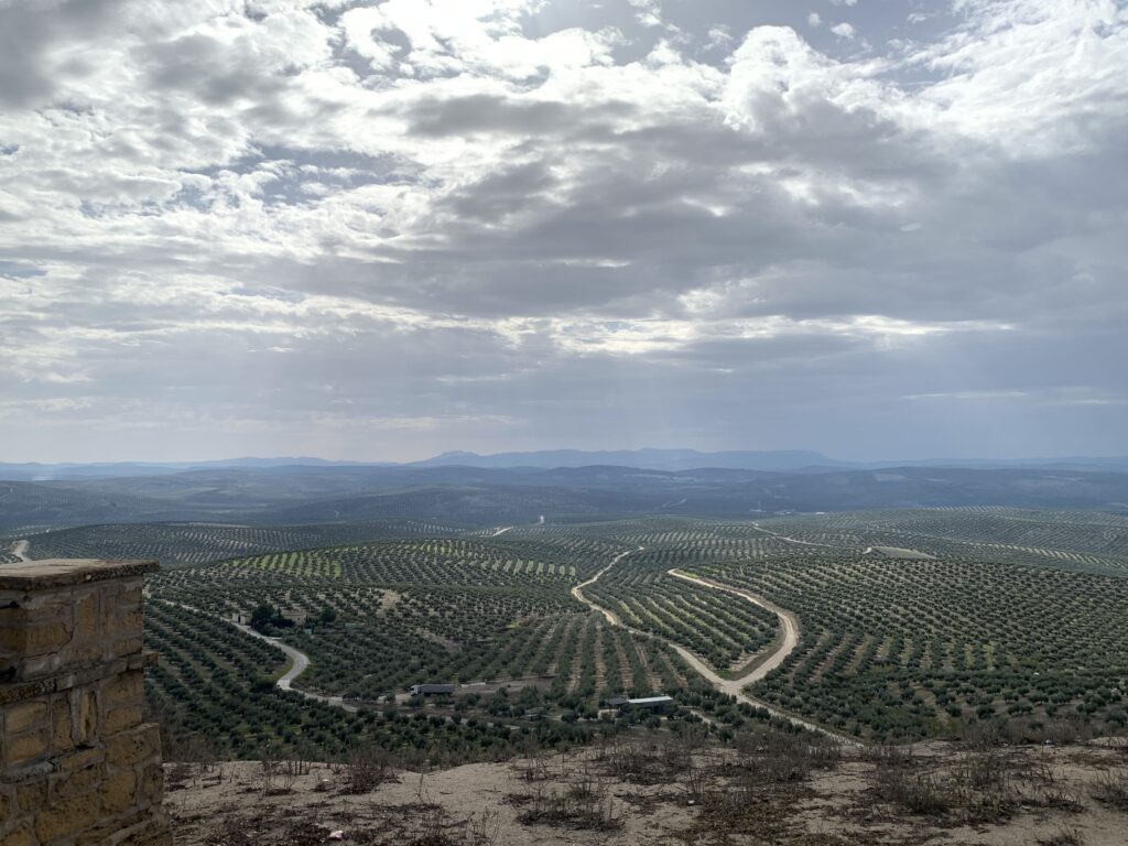 vistas desde el mirador de porcuna, momentos slow en porcuna