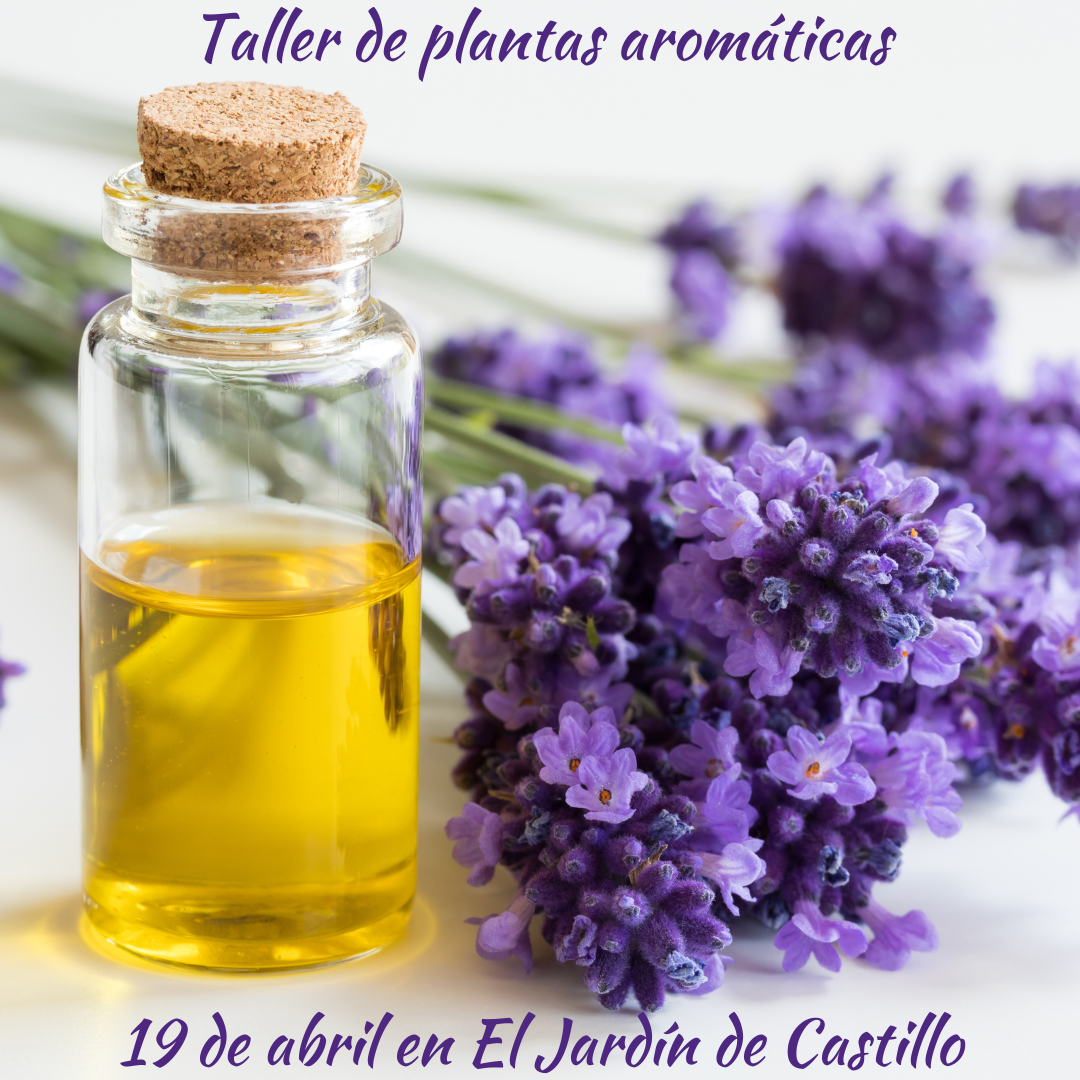 taller de plantas aromáticas en la sierra sur de jaén