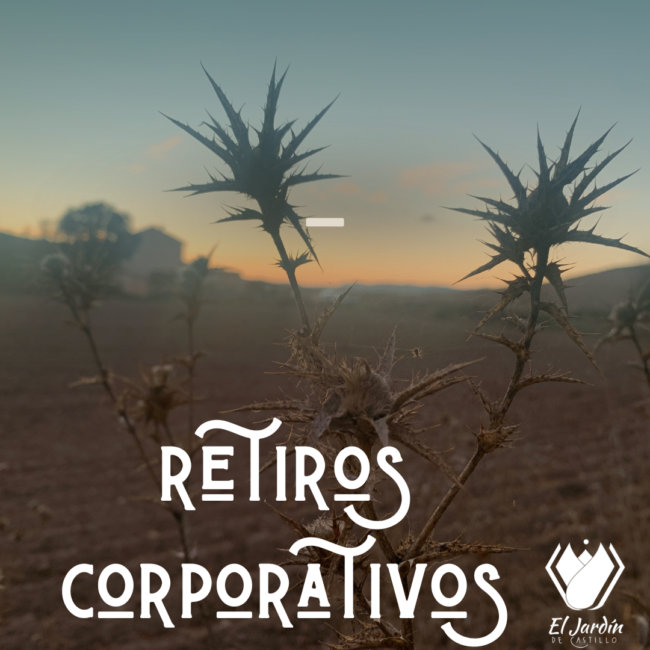 Retiro corporativo mice sierra sur de jaen