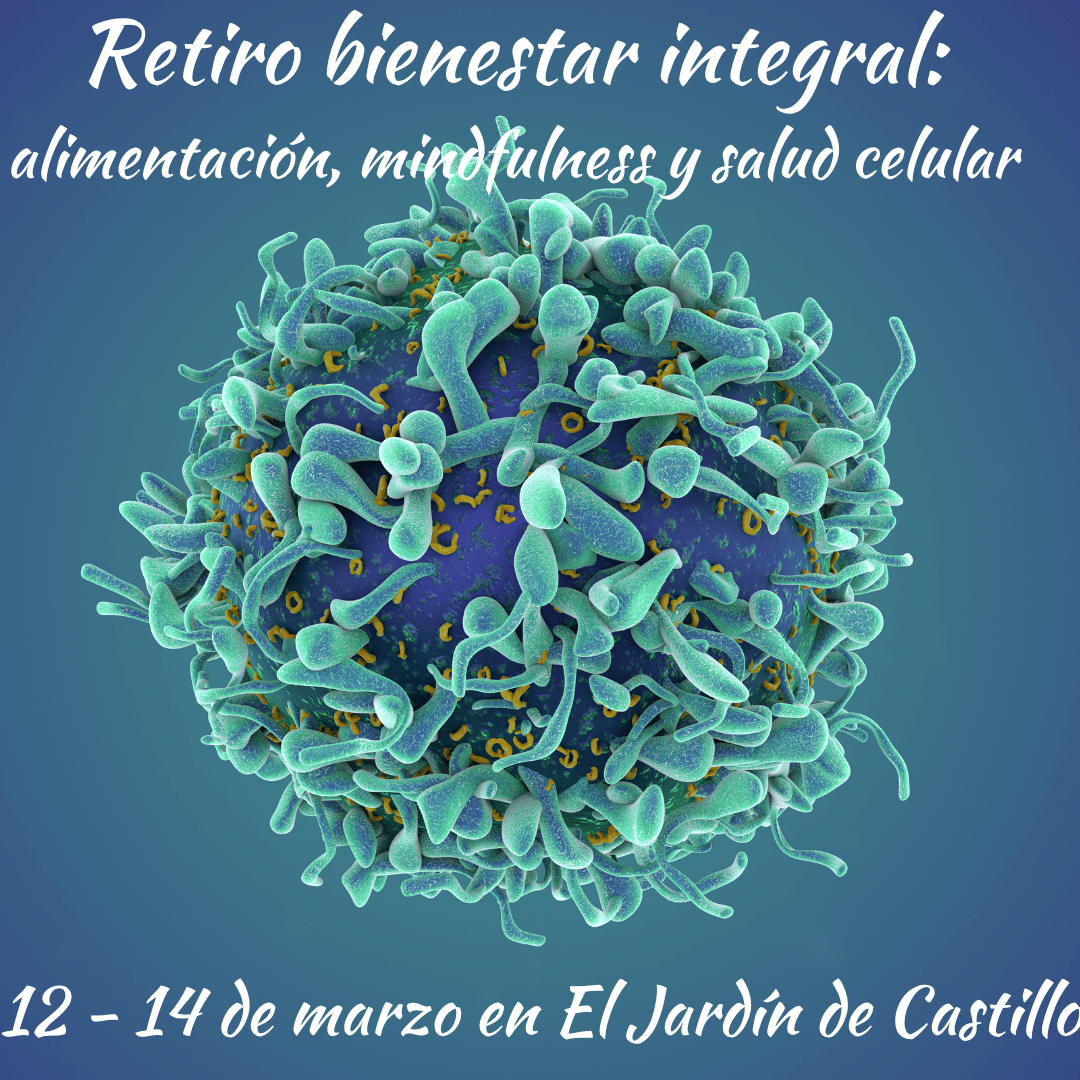 retiro de bienestar y salud celular